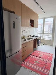 https://img.olx.com.br/thumbs256x256/29/299518767316698.jpg