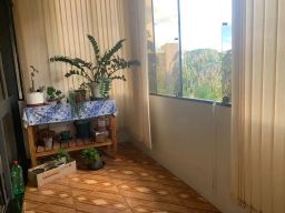 https://img.olx.com.br/thumbs256x256/29/299524641392976.jpg