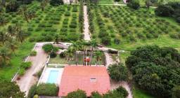 Título do anúncio: Belissimo Sítio de 34Ha em Cascavel, casa sede com 340m2, piscina e fruteiras diversas.