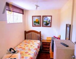 https://img.olx.com.br/thumbs256x256/30/300529886551998.jpg