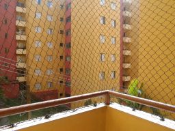 https://img.olx.com.br/thumbs256x256/30/300538403081467.jpg