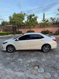 https://img.olx.com.br/thumbs256x256/30/300575403847194.jpg