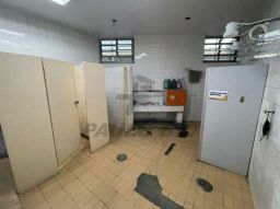 https://img.olx.com.br/thumbs256x256/30/300586405351348.jpg