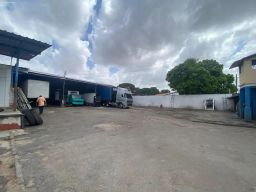 https://img.olx.com.br/thumbs256x256/30/301544640152432.jpg