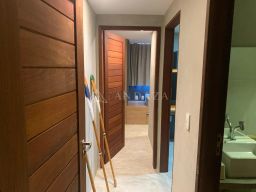 https://img.olx.com.br/thumbs256x256/30/301545282888503.jpg