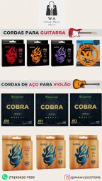https://img.olx.com.br/thumbs256x256/30/301593479445926.jpg