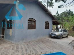 https://img.olx.com.br/thumbs256x256/30/302520394313429.jpg
