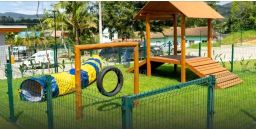 https://img.olx.com.br/thumbs256x256/30/302537765383332.jpg