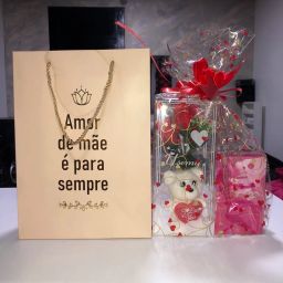 https://img.olx.com.br/thumbs256x256/30/302549528950369.jpg