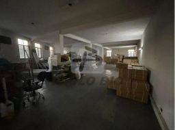 https://img.olx.com.br/thumbs256x256/30/302551769402825.jpg