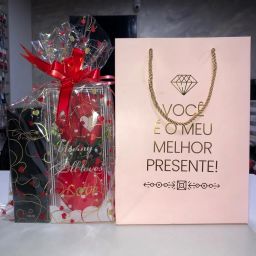 https://img.olx.com.br/thumbs256x256/30/303573766928248.jpg