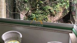 https://img.olx.com.br/thumbs256x256/30/303601558482457.jpg