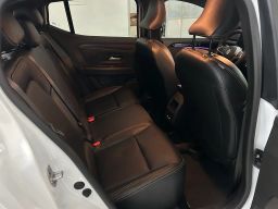 https://img.olx.com.br/thumbs256x256/30/303652736424445.jpg