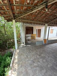 https://img.olx.com.br/thumbs256x256/30/303679428564039.jpg