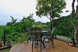https://img.olx.com.br/thumbs256x256/30/304534285534306.jpg