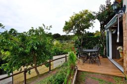 https://img.olx.com.br/thumbs256x256/30/304536165095933.jpg
