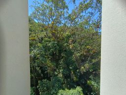 https://img.olx.com.br/thumbs256x256/30/304579767519472.jpg