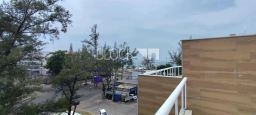 https://img.olx.com.br/thumbs256x256/30/305545402000579.jpg