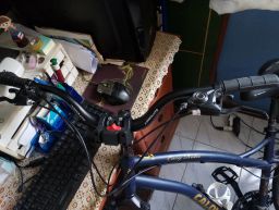 https://img.olx.com.br/thumbs256x256/30/305551637995718.jpg
