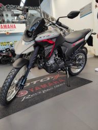 https://img.olx.com.br/thumbs256x256/30/305580645407910.jpg