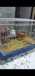 Título do anúncio: Vende-se hamster com gaiola, pote de comida e água 