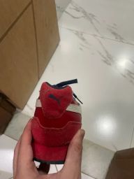 https://img.olx.com.br/thumbs256x256/30/306433574445787.jpg