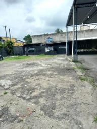 https://img.olx.com.br/thumbs256x256/30/306446440764295.jpg