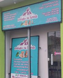 https://img.olx.com.br/thumbs256x256/30/306503763994335.jpg