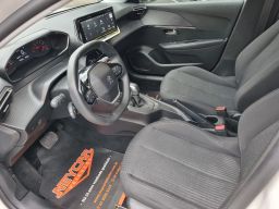 https://img.olx.com.br/thumbs256x256/30/306536162992163.jpg