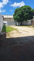 https://img.olx.com.br/thumbs256x256/30/306536888885662.jpg