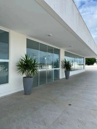 https://img.olx.com.br/thumbs256x256/30/306584523574202.jpg