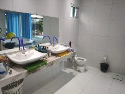 https://img.olx.com.br/thumbs256x256/30/306591647677485.jpg