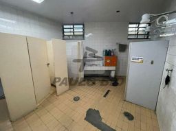 https://img.olx.com.br/thumbs256x256/30/307528160707553.jpg
