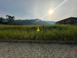https://img.olx.com.br/thumbs256x256/30/308516166774973.jpg