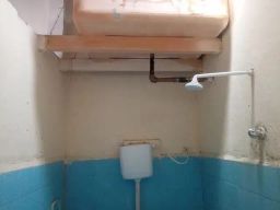 https://img.olx.com.br/thumbs256x256/30/308562285755455.jpg