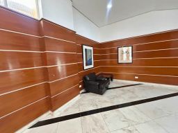 https://img.olx.com.br/thumbs256x256/30/308613306507554.jpg