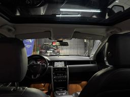 https://img.olx.com.br/thumbs256x256/30/309517036314082.jpg