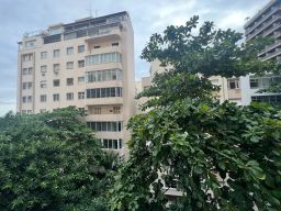 https://img.olx.com.br/thumbs256x256/30/309524759652424.jpg