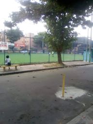 https://img.olx.com.br/thumbs256x256/30/309555630843374.jpg