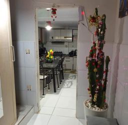https://img.olx.com.br/thumbs256x256/30/309596280359115.jpg