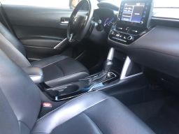 https://img.olx.com.br/thumbs256x256/31/310558523699278.jpg