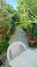 https://img.olx.com.br/thumbs256x256/31/310561161597019.jpg