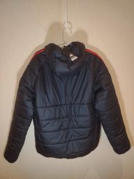 https://img.olx.com.br/thumbs256x256/31/310672437390863.jpg