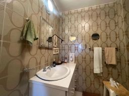 https://img.olx.com.br/thumbs256x256/31/311533288707467.jpg