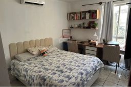 https://img.olx.com.br/thumbs256x256/31/311570644116123.jpg