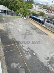https://img.olx.com.br/thumbs256x256/31/311574284474519.jpg