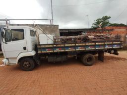 https://img.olx.com.br/thumbs256x256/31/311598148806729.jpg