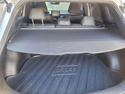 https://img.olx.com.br/thumbs256x256/31/311618660399150.jpg