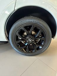 https://img.olx.com.br/thumbs256x256/31/311673686587572.jpg