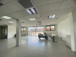 https://img.olx.com.br/thumbs256x256/31/312504645998366.jpg